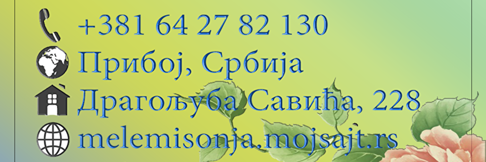 vizit kartica poledjina.png